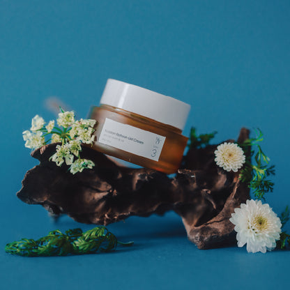MOISTERR REFRESH GEL CREAM